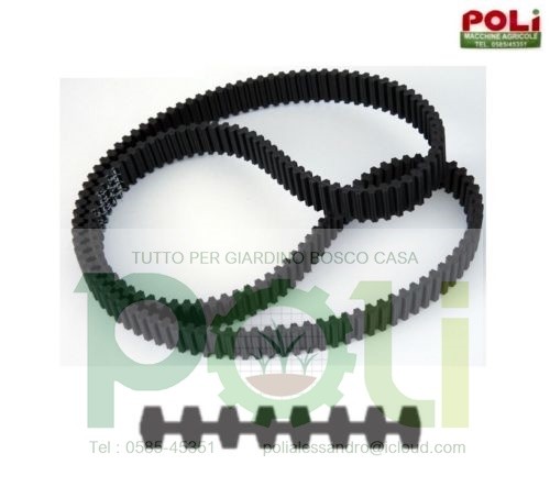 Cinghia sabart twin cut plus - cinghia,
