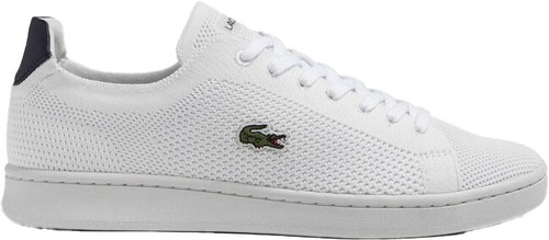 Sneakers pop lacoste - pop,