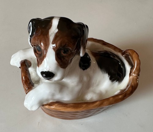 Cucciolo cane splendido - cane,