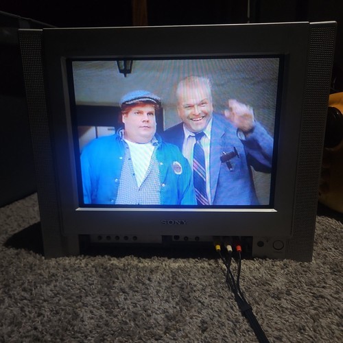 Sony trinitron 13fs100 - sony,