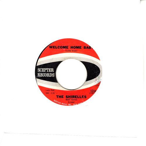 The shirelles welcome home - the,