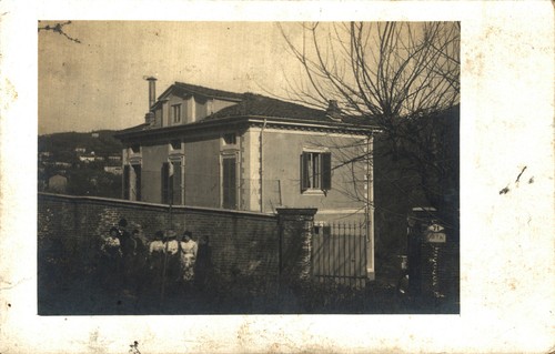 Vische torino - vische,