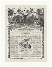 Jagd auf die Holztaube Bericht