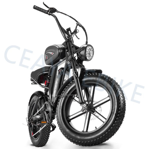 Bici elettrica adulti - bici, x4.0