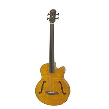 ARIA BASSO ELETTRICO ACUSTICO FRETLESS MEDIA SCALA MACCHIA MARRONE FEB-F2M/FL