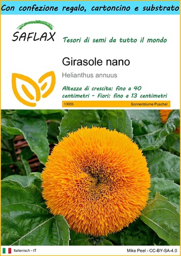 Saflax confezione regalo - confezione,