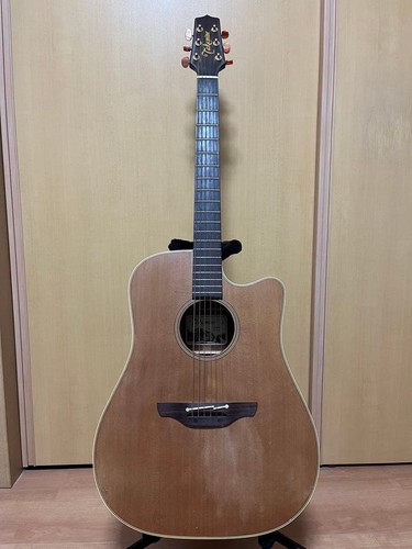 Chitarra acustica elettrica - acustica,