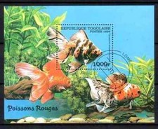 Pesci togo blocco - (13),