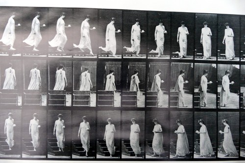 Poster eadweard muybridge - -,