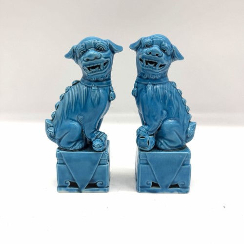 Coppia cani leone cinese - di, fo