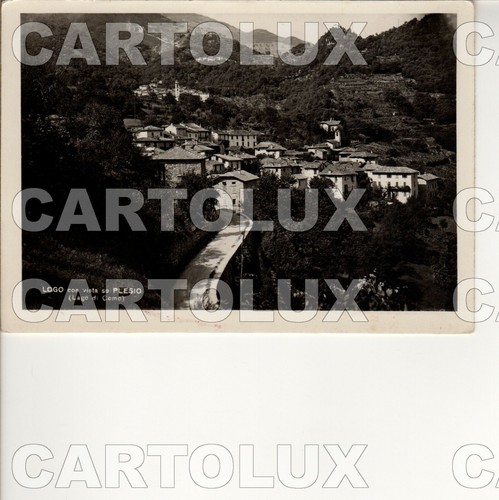 A8677 como 1950 logo plesio - a8677,