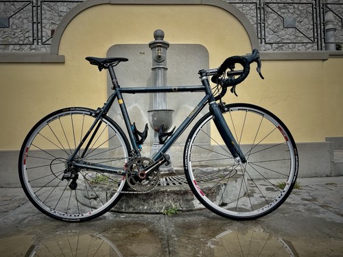 Unica bici corsa pegoretti - unica!,