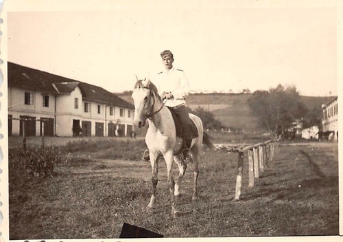 Soldato tedesco cavallo - a,