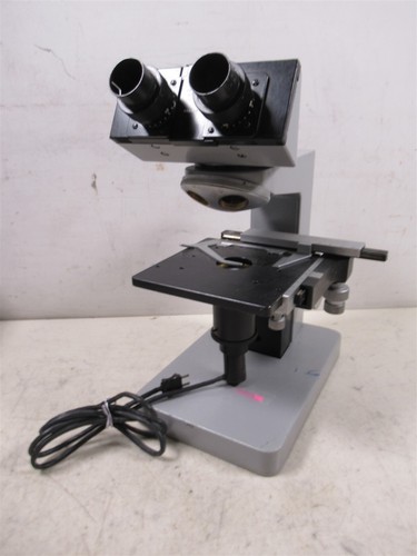Corpo microscopio binoculare