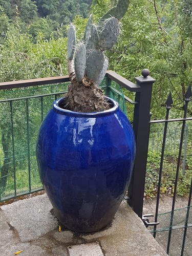 Giara colore blu per - , esterno