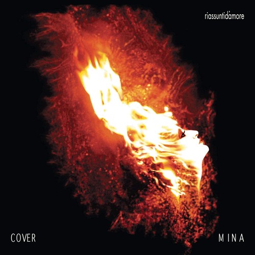 Mina riassunti d amore - riassunti, d'amore