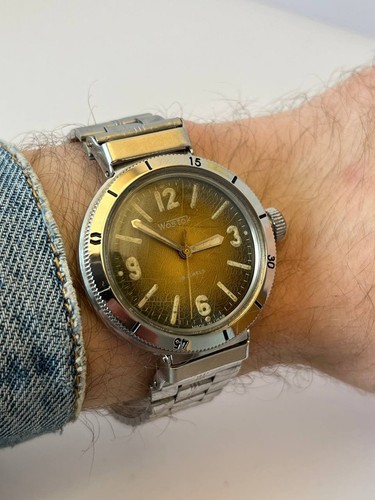Vostok amphibia eared - eared,