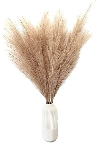 Erba pampa artificiale - pampa,