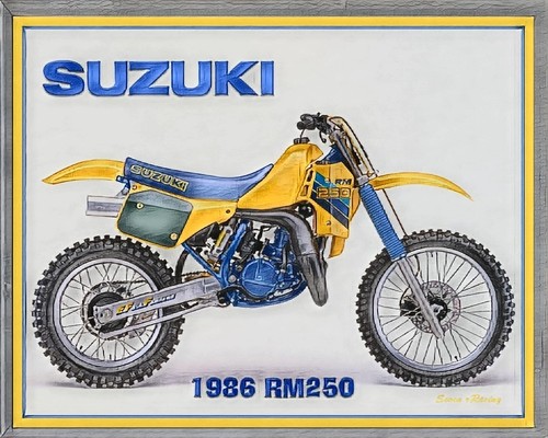 Suzuki 250 motocross - suzuki,