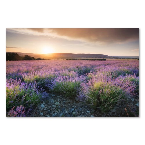 Postereck 2210 poster - , tela