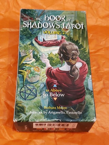 The book shadows tarot - book,