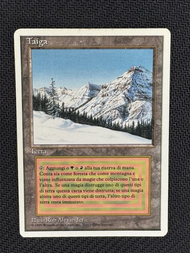 Magic mtg taiga fwb italian - magic,