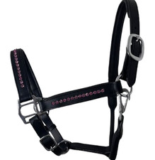 Collare imbottito per cavalli