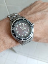 Citizen EcoDrive Titanium -