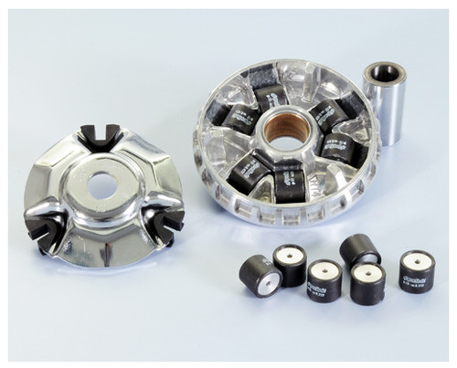 241 724 variatore polini - 241.724,