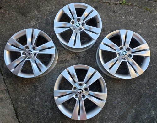 Cerchi lega mitykas - in, skoda