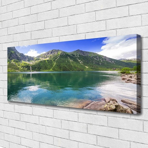 Stampa tela 125x50 - stampa,