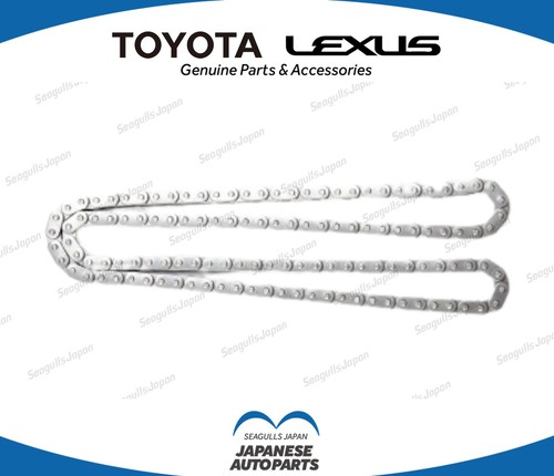 Catena distribuzione motore