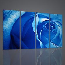 QUADRI MODERNI FANTASY ROSE