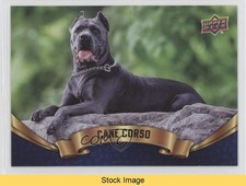 Upper Deck Collezione Canine