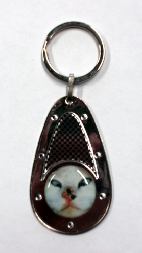 Key holder carbon - , cat