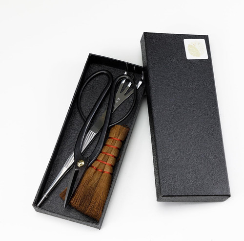 Starter kit essenziale per - kit,