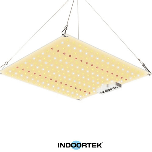 Indoortek quantum board - indoortek, led