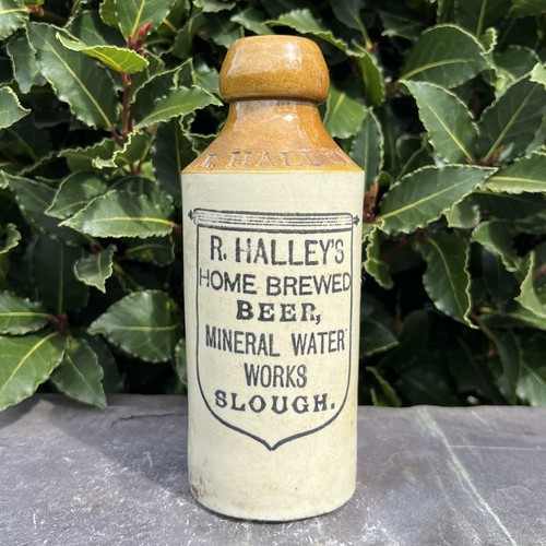 Traditional halley s - traditional, halley's