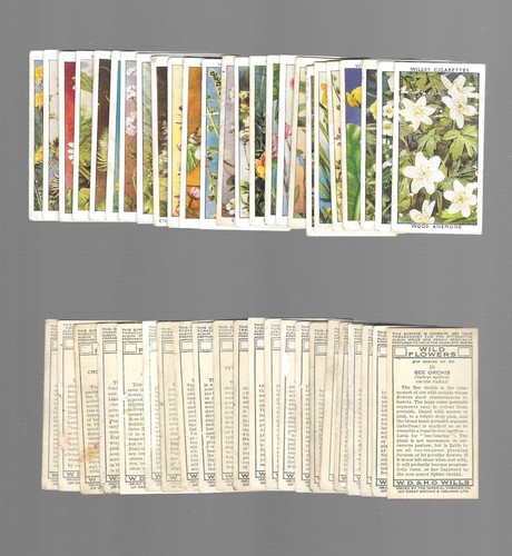 Carte sigarette tabacco - sigarette.,