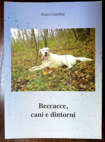 Beccacce cani dintorni - cani, e