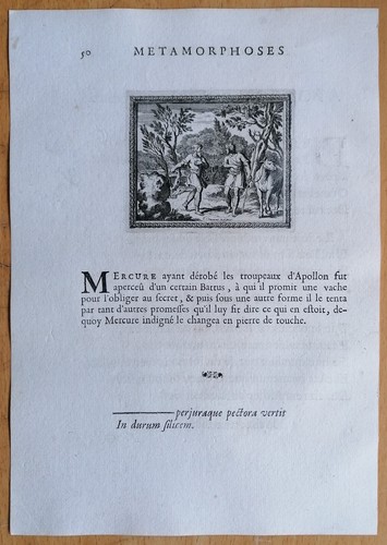 Battus trasforma pietra - battus, in