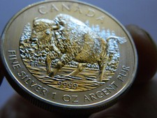 2013 5 (cinque) dollari - 1 oz