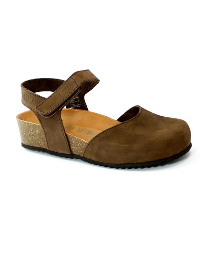 Grunland lect sb1358 testa - sb1358, di