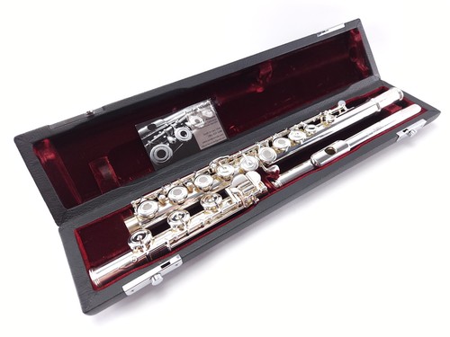 Commonhardt platinum silver - commonhardt,