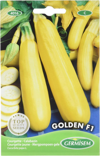 Golden semi zucchine - semi, di