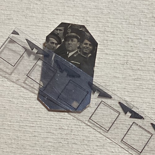 Polizia corpo guardie - corpo,