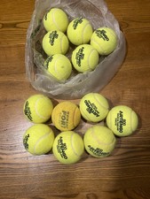 palline tennis artengo 800