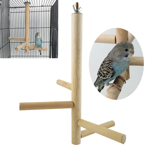Jouet oiseau pour - jouet,