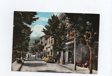 CALICE LIGURE - Via Roma - FIAT 500 - colori epoca!!! Ed. Alberto mercerie.