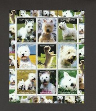 WEST HIGHLAND WHITE TERRIER **